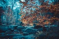 Autumn landscape in the national park Sofiivka, Uman, Ukraine. The most beautiful plases of Europe Royalty Free Stock Photo