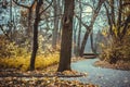 Autumn landscape in the national park Sofiivka, Uman, Ukraine. The most beautiful plases of Europe Royalty Free Stock Photo