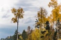 Autumn landscape. Nature of Eastern Siberia. Birches and pines, spruces and larches and aspens grow on the mountains. Royalty Free Stock Photo