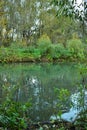 Autumn landscape of the nature of the Moscow region. Green river. Beautiful nature landscape. Royalty Free Stock Photo