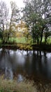 Autumn landscape, nature, pond, rain, tree, leaves, green, Royalty Free Stock Photo