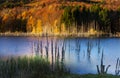 Autumn landscape near a lake