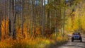 Marble dirt road leading to old Crystal mill. Royalty Free Stock Photo