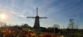 sunny autumn day Dutch windmill Hoofddorp