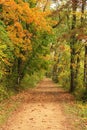 Autumn landscape