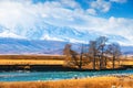 Autumn landscape of North-Chuya ridge and Chuya river in Altai mountains, Siberia, Russia Royalty Free Stock Photo