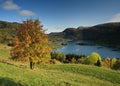 Autumn landscape in norwegian fjords