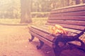 Autumn landscape, oak branches lie on old bench Royalty Free Stock Photo