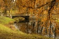 Autumn landscape with an old bridge over a pond and a yellow branch