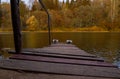 Autumn landscape. Old wooden bridge with handrail on the lake shore Royalty Free Stock Photo