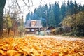 Autumn landscape with an old wooden house. Royalty Free Stock Photo