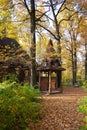 Autumn landscape. An old wooden hut among fallen leaves and autumn trees. Wooden building. Architecture. Yellow trees