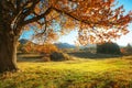 Autumn landscape Royalty Free Stock Photo