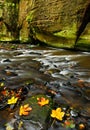 Autumn landscape with orange and yellow leaves in the water, big rock in the background, Kamenice river, in czech national park Royalty Free Stock Photo