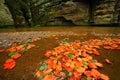 Autumn landscape with orange and yellow leaves in the water, big rock in the background, Kamenice river, in czech national park Royalty Free Stock Photo