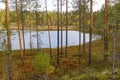 Autumn landscape on the Oster river in Karelia.