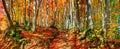 Autumn landscape, panorama, banner - view of a country road in the autumn mountain beech forest Royalty Free Stock Photo