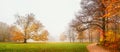 Autumn landscape, panorama, banner - view of a foggy autumn park with paths and fallen leaves Royalty Free Stock Photo