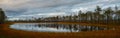 Autumn landscape panorama, lake in the marshland in the forest