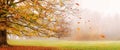 Autumn landscape, panorama - view of a foggy autumn park with fallen leaves in the early morning Royalty Free Stock Photo
