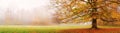 Autumn landscape, panorama - view of a foggy autumn park with fallen leaves in the early morning Royalty Free Stock Photo