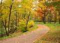 Autumn landscape. Park in fall. Golden autumn. Royalty Free Stock Photo