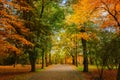 Autumn landscape in the Park of Nalchik, Russia