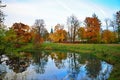 Autumn landscape Park in Tsarskoye Selo with yellow and red tree Royalty Free Stock Photo