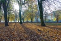 Autumn landscape in the Park, walk in the Park in autumn