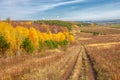 Autumn landscape photography, best photographer, mixed forests in autumn condition, colorful leaves, divided into burgundy, red,