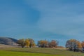 Autumn landscape photography, best photographer, mixed forests in autumn condition, colorful leaves, divided into burgundy, red,