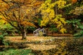 Autumn landscape - pond and trees with golden foliage.