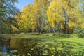 Autumn landscape with pond in village Royalty Free Stock Photo