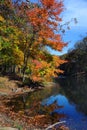 Autumn Landscape and Poplar Tree Lake Royalty Free Stock Photo