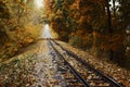 Fall landscape, Railway tracks running through autumn forest Royalty Free Stock Photo