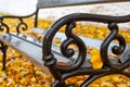 Autumn landscape in rainy day - view of the bench covered with yellow leaves in park Royalty Free Stock Photo
