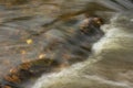 Autumn landscape with a rapid stream and fallen leaves Royalty Free Stock Photo