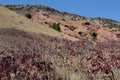 Autumn landscape at Red Rocks Park Colorado Royalty Free Stock Photo