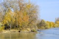 Autumn landscape. River bank with autumn trees. Poplars on the b Royalty Free Stock Photo