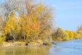 Autumn landscape. River bank with autumn trees. Poplars on the b Royalty Free Stock Photo
