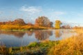 Autumn landscape of river and her banks with yellow bushes and trees in sunrise
