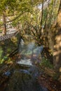 Autumn landscape with a river in Livadia, Greece Royalty Free Stock Photo