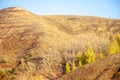 Autumn landscape,     river, windy weather, dark blue water, yellow-red autumn leaves on trees, last warm days Royalty Free Stock Photo