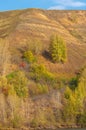 Autumn landscape, river, windy   weather, dark blue water, yellow-red autumn leaves on trees, last warm days Royalty Free Stock Photo