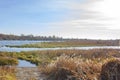 Autumn landscape of rivers and forests in clear, sunny weather. The bright sun illuminates the blue river and yellow grass