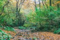 Autumn Landscape Royalty Free Stock Photo