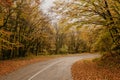 Autumn landscape with road and beautiful colored trees Royalty Free Stock Photo