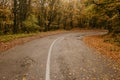 Autumn landscape with road and beautiful colored trees Royalty Free Stock Photo