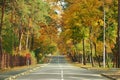 Autumn landscape with road and beautiful colored trees. Royalty Free Stock Photo