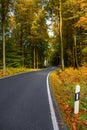 Autumn landscape with road and beautiful trees Royalty Free Stock Photo
